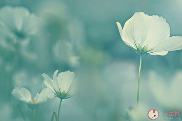 2020網易云元氣滿滿的唯美說說短句 元氣滿滿的網易云熱評文案大全