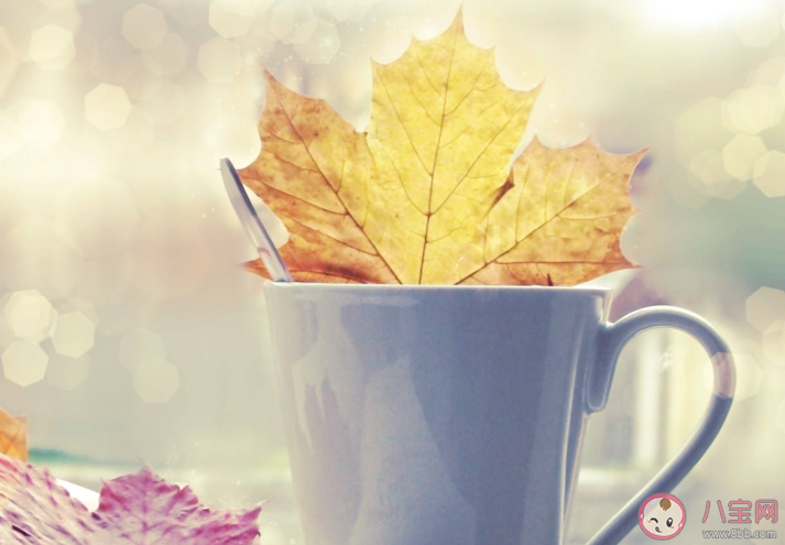 2020網易云元氣滿滿的唯美說說短句 元氣滿滿的網易云熱評文案大全