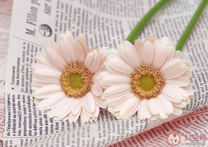 2020網易云元氣滿滿的唯美說說短句 元氣滿滿的網易云熱評文案大全