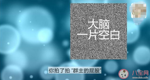 微信拍一拍新功能有什么作用 微信拍一拍功能實用嗎 微信拍一拍新功能有什么作用 微信拍一拍功能實用嗎
