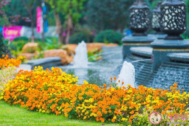 你就像春天的風夏天的雨讓我如此著迷是什么歌 《四季如你》歌詞在線聽歌 你就像春天的風夏天的雨讓我如此著迷是什么歌 《四季如你》歌詞在線聽歌