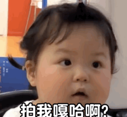 微信拍一拍表情包高清無水印圖片大全 別拍了別拍了搞笑表情包合集