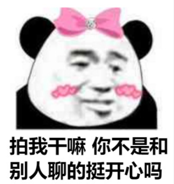 微信拍一拍表情包高清無水印圖片大全 別拍了別拍了搞笑表情包合集