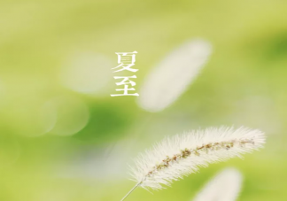 夏至節氣吃什么食物養胃 夏至飲食養生要點2020