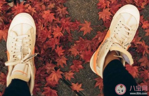 抖音熱門的正能量文案有哪些 積極陽光的文案句子 抖音熱門的正能量文案有哪些 積極陽光的文案句子