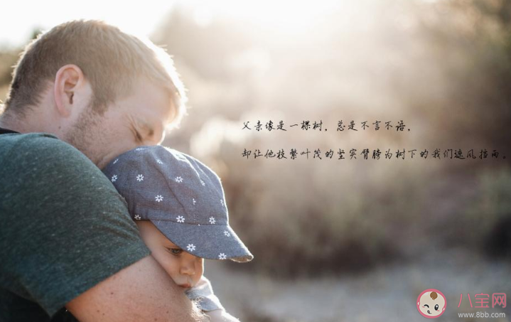 2020父親節(jié)遇上夏至的心情句子 父親節(jié)是夏至日的心情說說