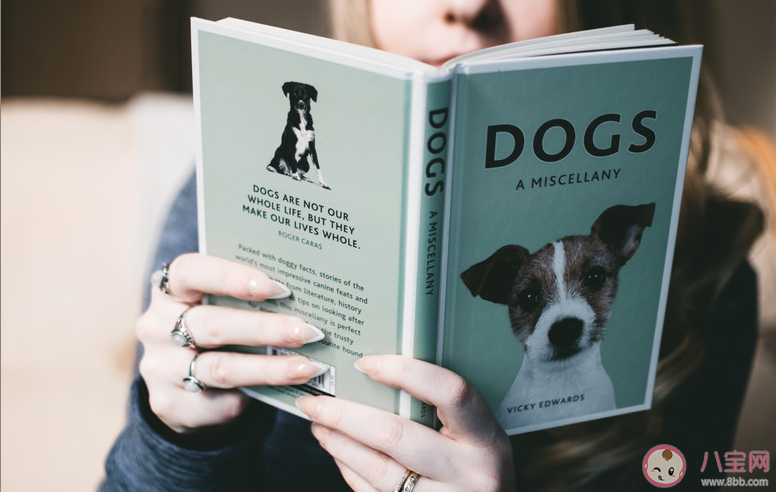 為什么一讀書就犯困 一讀書就犯困走神怎么辦 為什么一讀書就犯困 一讀書就犯困走神怎么辦