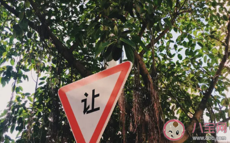 有哪些應該堅持的好習慣 應該長久堅持的習慣