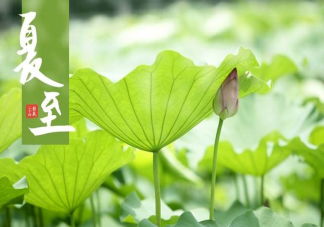 夏至過后忌諱做什么事情 夏至過后6大忌諱