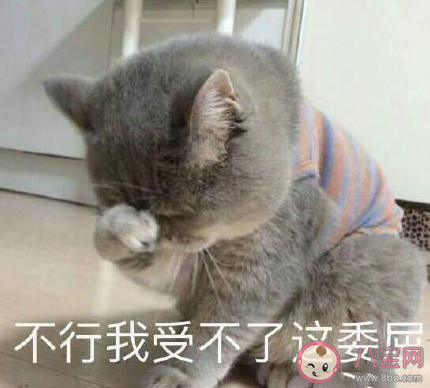 怎么用一句話總結2020上半年 一句話總結2020上半年