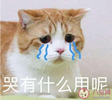 怎么用一句話總結2020上半年 一句話總結2020上半年