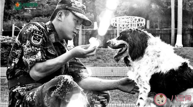 2020國際禁毒日關于禁毒的故事有哪些 2020禁毒日一線禁毒故事科普 2020國際禁毒日關于禁毒的故事有哪些 2020禁毒日一線禁毒故事科普