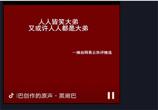 人人皆笑大弟人人都是大弟是什么意思 人人皆笑大弟人人都是大弟梗的出處是什么