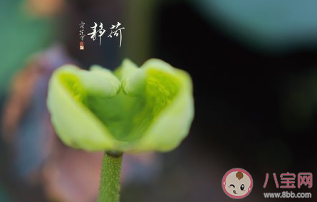 2020六月最后一天的心情句子 2020六月最后一天了心情語錄