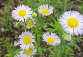 2020六月最后一天的心情句子 2020六月最后一天了心情語錄