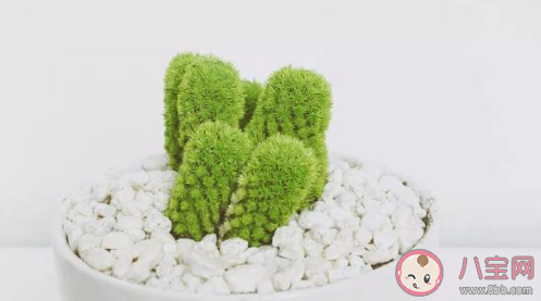 為什么有的人經常愛發朋友圈 屁大點事都發朋友圈是什么心理