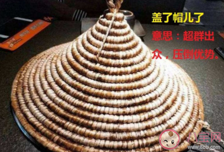 蓋了帽了我的老baby是什么意思 蓋了帽了我的老baby梗的出處是什么 蓋了帽了我的老baby是什么意思 蓋了帽了我的老baby梗的出處是什么