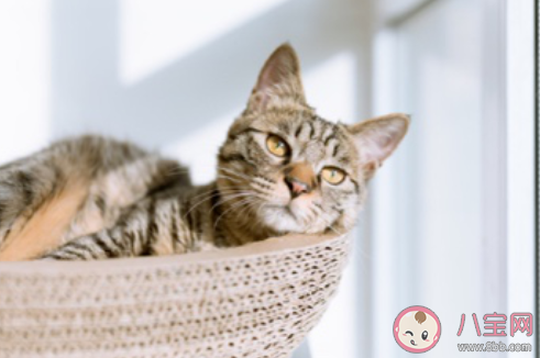 生活中增長睡覺時間的小技巧 怎么判斷睡得好不好