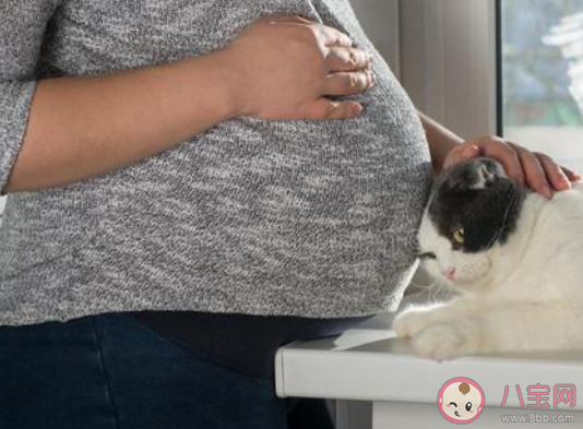 懷孕之后越來越怕冷了是為什么 懷孕后為什么會怕冷 懷孕之后越來越怕冷了是為什么 懷孕后為什么會怕冷