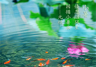 2020小暑節氣養生飲食怎么安排 2020小暑節氣養生吃什么好