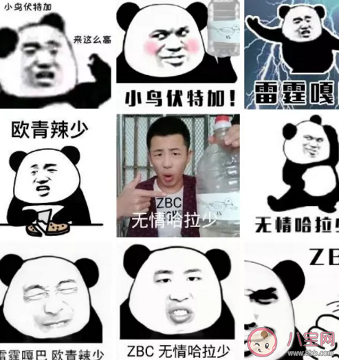 貓燈伏特加是什么意思什么梗 新二的快樂生活梗的出處