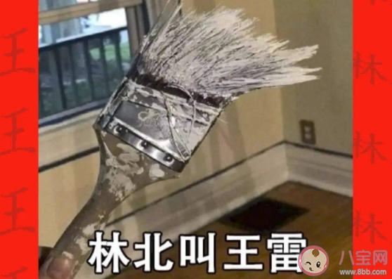 林北是什么意思什么梗 林北梗的出處是什么 林北是什么意思什么梗 林北梗的出處是什么