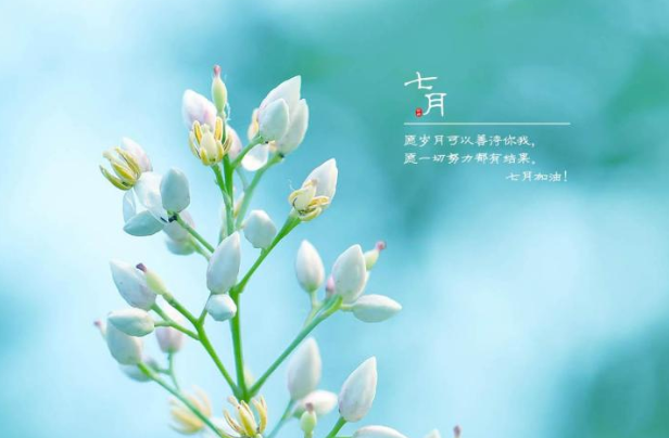 2020七月你好的優美文案說說短句 2020七月你好的朋友圈美好說說 2020七月你好的優美文案說說短句 2020七月你好的朋友圈美好說說