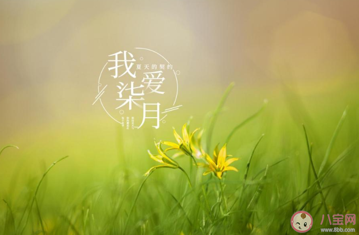 2020七月你好七月開始了的朋友圈配文 2020七月你好的朋友圈怎么發(fā)