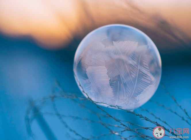 當孩子表達他們的夢想父母應該怎么做 如何培養孩子的夢想 當孩子表達他們的夢想父母應該怎么做 如何培養孩子的夢想