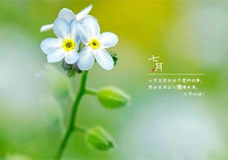 2020七月你好的優美文案說說短句 2020七月你好的朋友圈美好說說