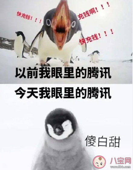 騰訊逗鵝冤事件是怎樣的 逗鵝冤事件的前因后果