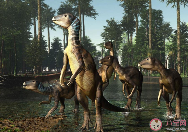 研究稱小行星撞擊地球是恐龍滅絕主因 小行星撞擊地球對恐龍產生什么影響 研究稱小行星撞擊地球是恐龍滅絕主因 小行星撞擊地球對恐龍產生什么影響