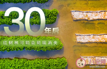 2020全國低碳日是哪一天 全國低碳日是幾月幾日