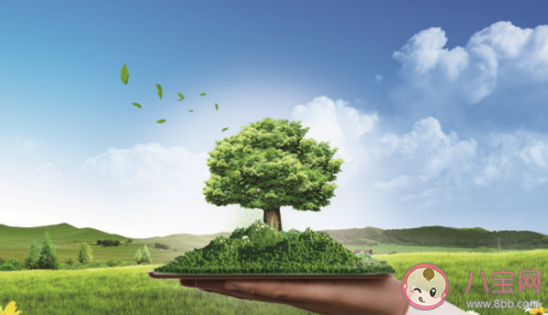 全國低碳日的由來故事 全國低碳日是怎么設立的