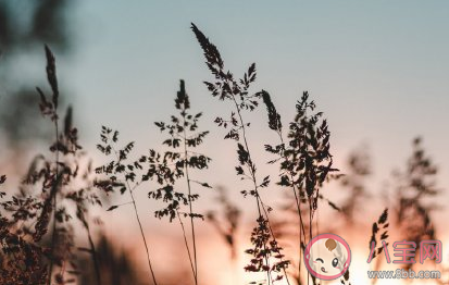 假如回到高三會做出哪些改變 一覺回到高三會做什么