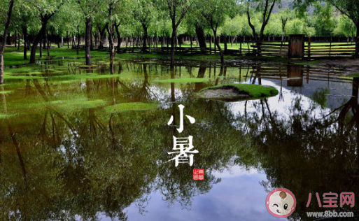 2020小暑節氣是哪一天 小暑幾時幾分幾秒