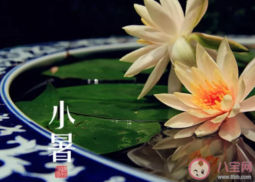 小暑三候分別是什么意思 小暑三候的特點