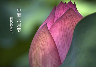 2020小暑節氣早安心語 2020小暑節氣早上好的說說