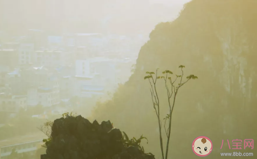 廣西六峰山旅游攻略 六峰山旅游景點和路線