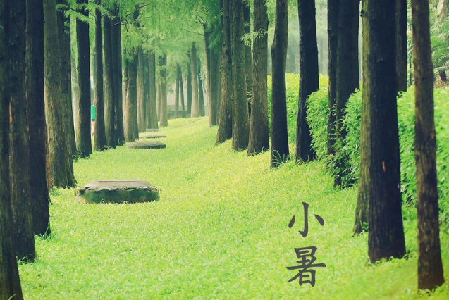 2020小暑節(jié)氣圖片朋友圈文案祝福語說說 2020小暑節(jié)氣祝福語唯美句子 2020小暑節(jié)氣圖片朋友圈文案祝福語說說 2020小暑節(jié)氣祝福語唯美句子