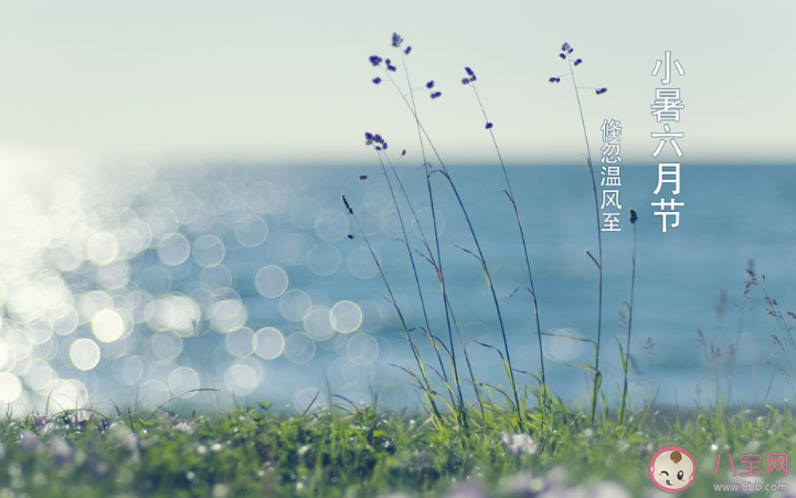 2020小暑節(jié)氣早安心語 2020小暑節(jié)氣早上好的說說 2020小暑節(jié)氣早安心語 2020小暑節(jié)氣早上好的說說