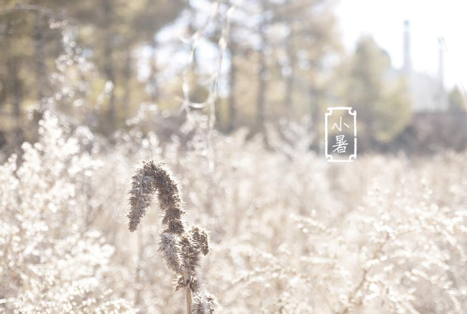 2020關(guān)于小暑的創(chuàng)意說說發(fā)朋友圈 2020小暑到了創(chuàng)意文案句子大全