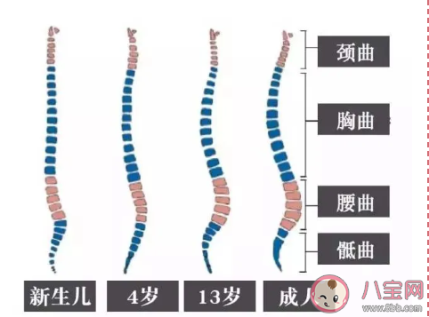 寶寶多大開始可以睡枕頭 太早給寶寶使用枕頭有什么危害