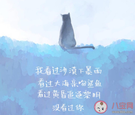此情不俞奈何情深是什么梗 此情不俞奈何情深梗的出處是什么