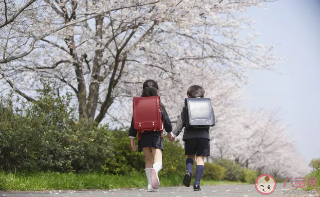 孩子晚一年上學(xué)就是吃虧了嗎 晚一年上學(xué)有什么好處 孩子晚一年上學(xué)就是吃虧了嗎 晚一年上學(xué)有什么好處