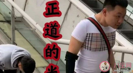 種豆得瓜照在了大腚上是什么意思 種豆得瓜照在了大腚上梗的出處是什么 種豆得瓜照在了大腚上是什么意思 種豆得瓜照在了大腚上梗的出處是什么