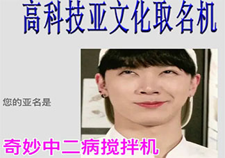 高科技亞文化取名機什么梗鏈接在哪 高科技亞文化取名機鏈接入口意思介紹