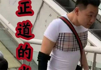 種豆得瓜照在了大腚上是什么意思 種豆得瓜照在了大腚上梗的出處是什么