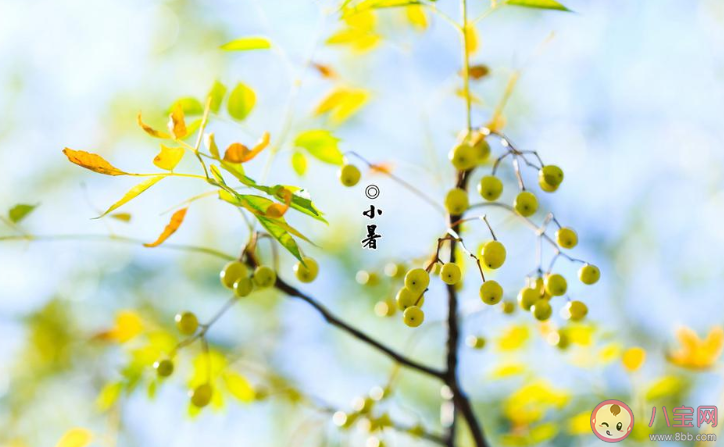 2020二十四節(jié)氣小暑發(fā)朋友圈暖心祝福語說說 2020二十四節(jié)氣小暑的朋友圈祝福語大全