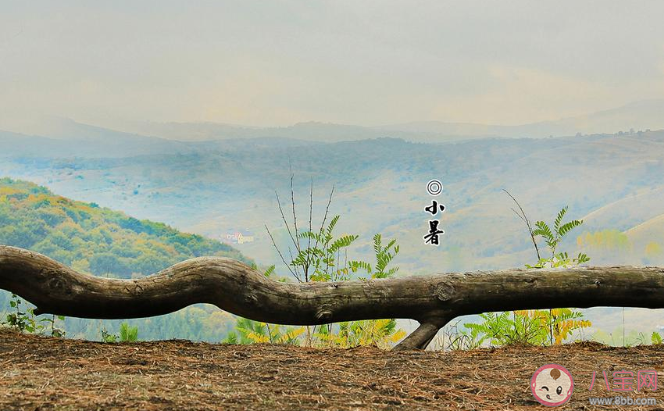 2020二十四節(jié)氣小暑發(fā)朋友圈暖心祝福語說說 2020二十四節(jié)氣小暑的朋友圈祝福語大全